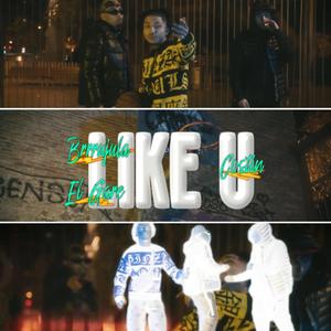 LIKE U (feat. Costin & El gare) [Explicit]