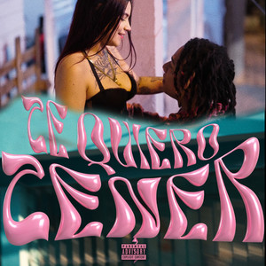 Te Quiero Tener (Explicit)