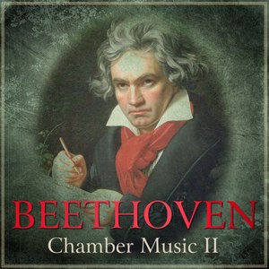 Sonata for Violin and Piano No. 2 in A Major, Op. 12, No. 2 - I. Allegro vivace