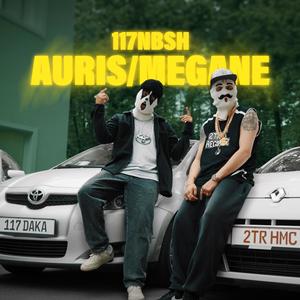 Auris/Mégane (feat. Daka 117 & 2tR HMC) (Explicit)