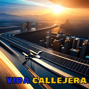 Vida Callejera