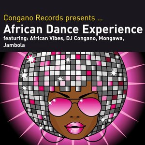 African Dance Experience