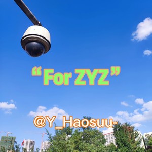 For ZYZ