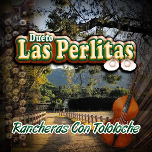 Chaparrita de Mi Vida (Tololoche)