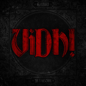 Vidhi