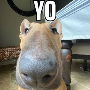 All Alone Remix(feat. Knight David)