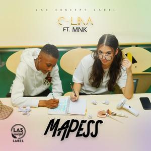 Mapess