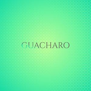 Guacharo
