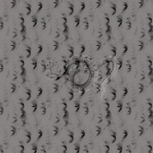 Route To Go (feat. Slime Dollaz) (Explicit)