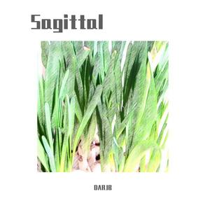 Sagittal (Original Mix)