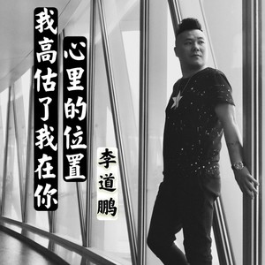 我高估了我在你心里的位置