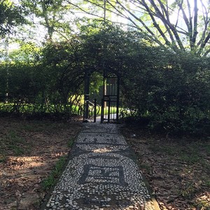 《双飞燕》配古筝编曲