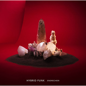 HYBRID FUNK