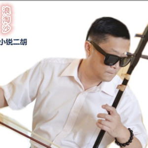 浪淘沙-小锐二胡
