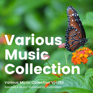 Various Music Collection Vol.193 -Selected & Music-Published by Audiostock-