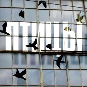 Птицы (Original Mix)