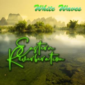 Morning Mist in Bamboo Forest