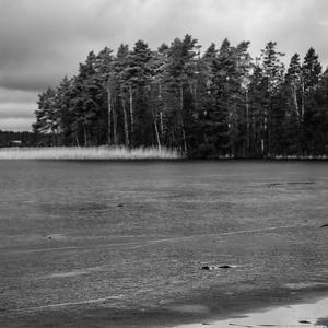 Why (feat. Beckfords) (Explicit)