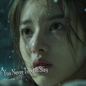 You Never Tried to Stay