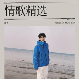 成全 (姚涛 remix)