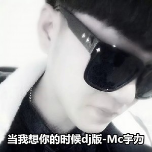 当我想你的时候 (DJ版)
