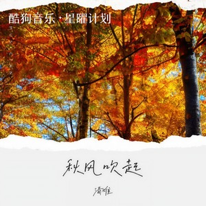秋风吹起 (男版|DJ QüarkLiu版)封面
