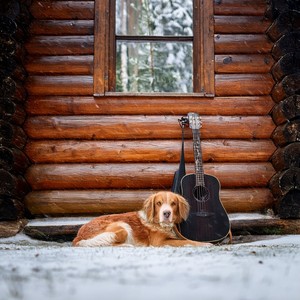 Chirps In The Distance