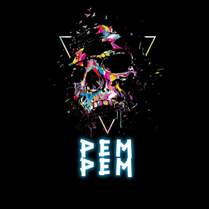 PEM PEM