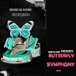 Butterfly Symphony