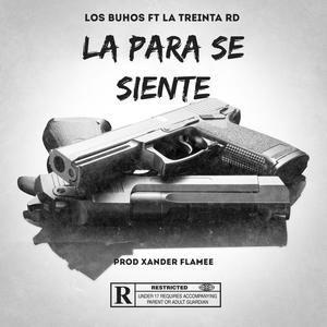 La Para Se Siente (feat. Xander Flamee, El Movimiento 420, Mc Fulvio, Malon HR, El Depre & Kanoxx Trvp) (Explicit)