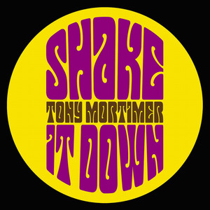 Shake It Down - Single