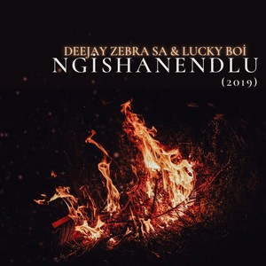 Ngishanendlu (2019)