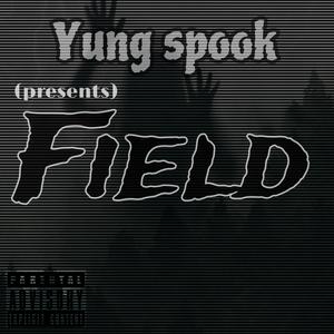 Field (Explicit)