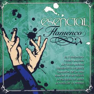 Esencial Flamenco Vol.7