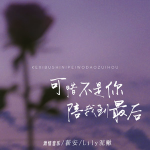 可惜不是你陪我到最后
