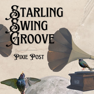 Starling Swing Groove