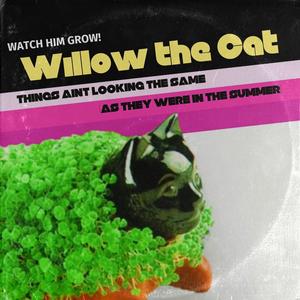 Things Ain't Looking The Same (As They Were In The Summer) (Explicit)