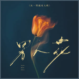 男人花 (从一哭就有人哄)封面