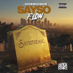 Sayso Flow (Explicit)