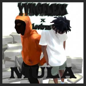 MULA (feat. Lustrxx) [Explicit]