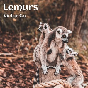 Lemurs