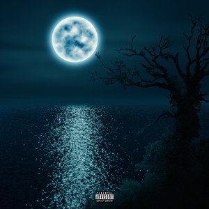 What I Need (Explicit)