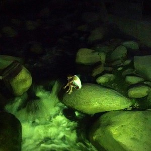 Pésimas Pócimas (Explicit)