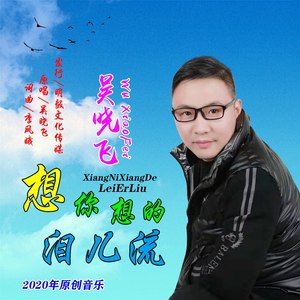 想你想的泪儿流