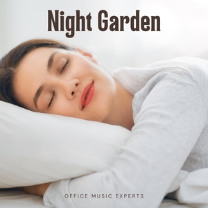 Night Garden: Peaceful Sleep