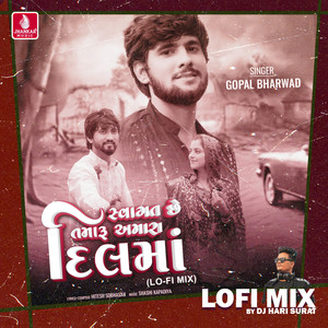 Swagat Che Tamaru Amara Dil Ma (Lofi Mix)