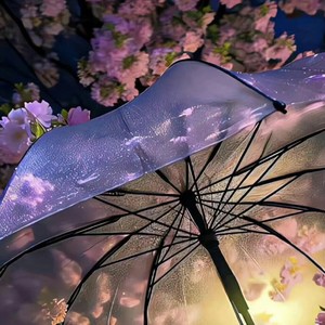 盛夏芬德拉-偷玫瑰的贼