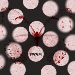 הרגליים רעדו לי