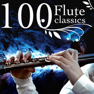 Flute Concerto In B-Flat Major, Wq. 167 - Allegro