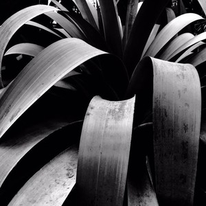 Supermoon (Original Mix)